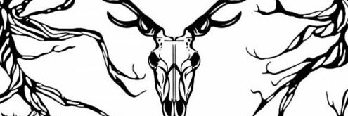 Flashwood's profile banner image