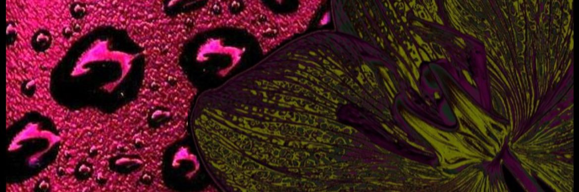 woahlori's profile banner image