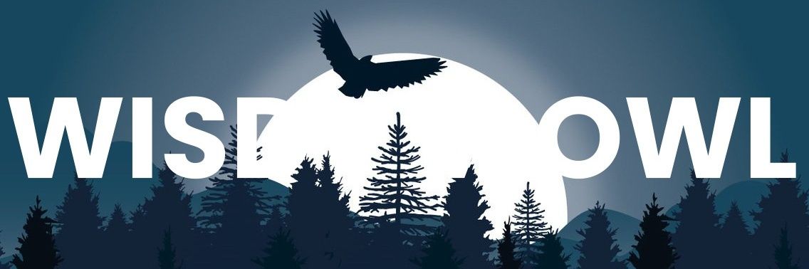 amsidd1's profile banner image