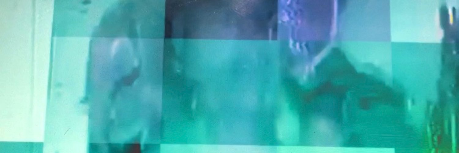 cascadeleph's profile banner image