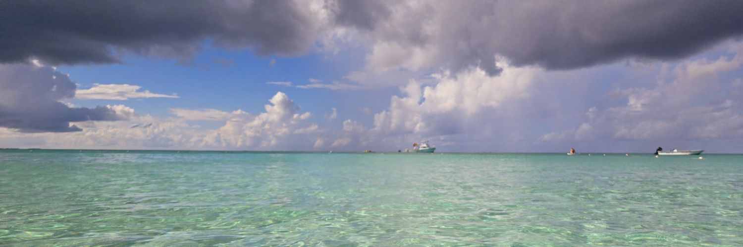 mitohacks stacked banner