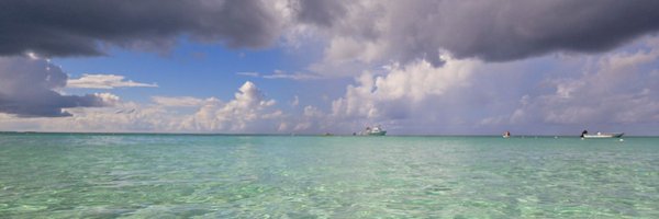 ResilientBobby Profile Banner