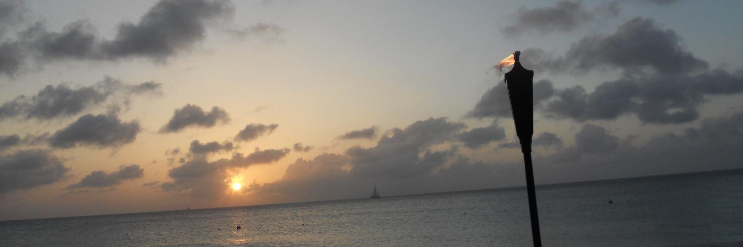 AmyEDurant's profile banner image