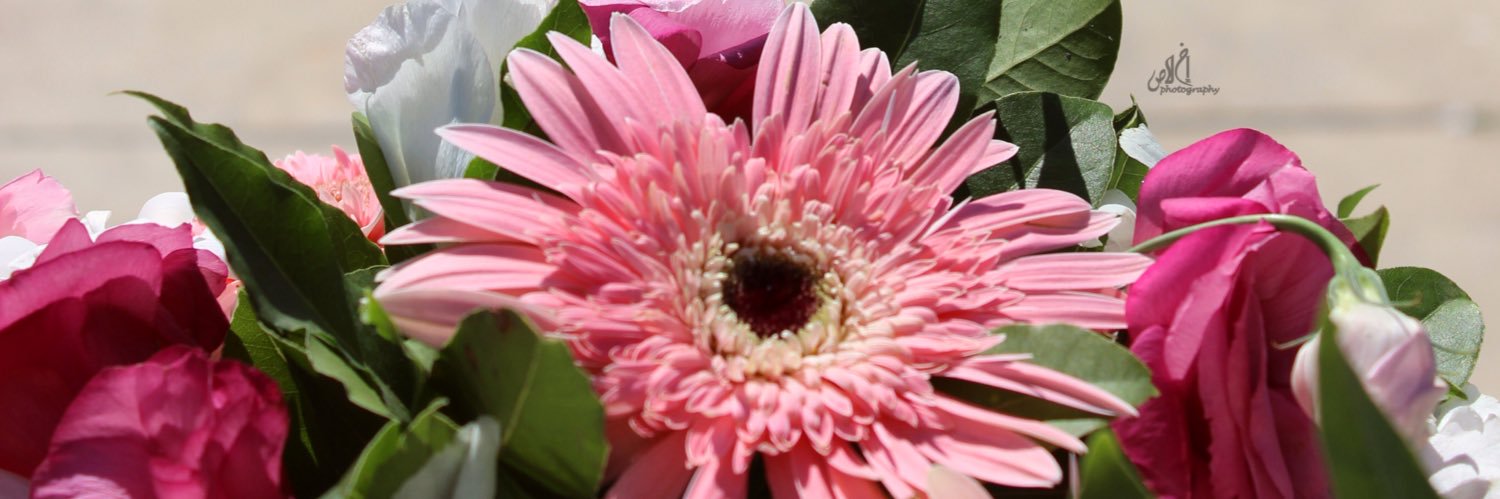 .❀ إخلاص ‎ banner