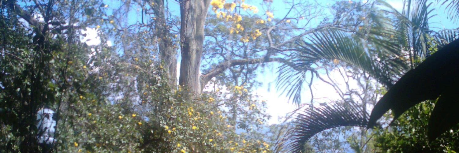 jaarangoj's profile banner image