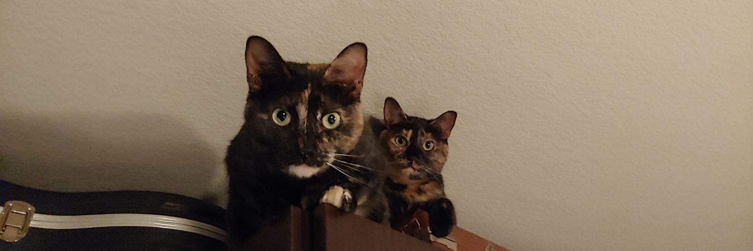theWilColl's profile banner image
