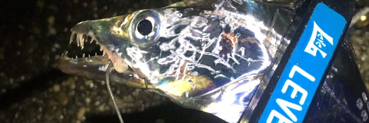 ctakataka's profile banner image