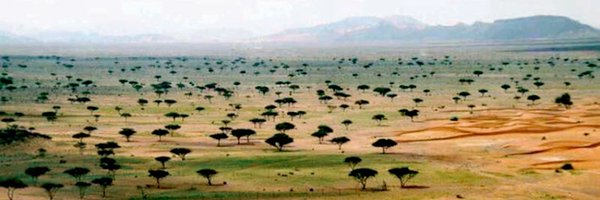 AHM8088 Profile Banner