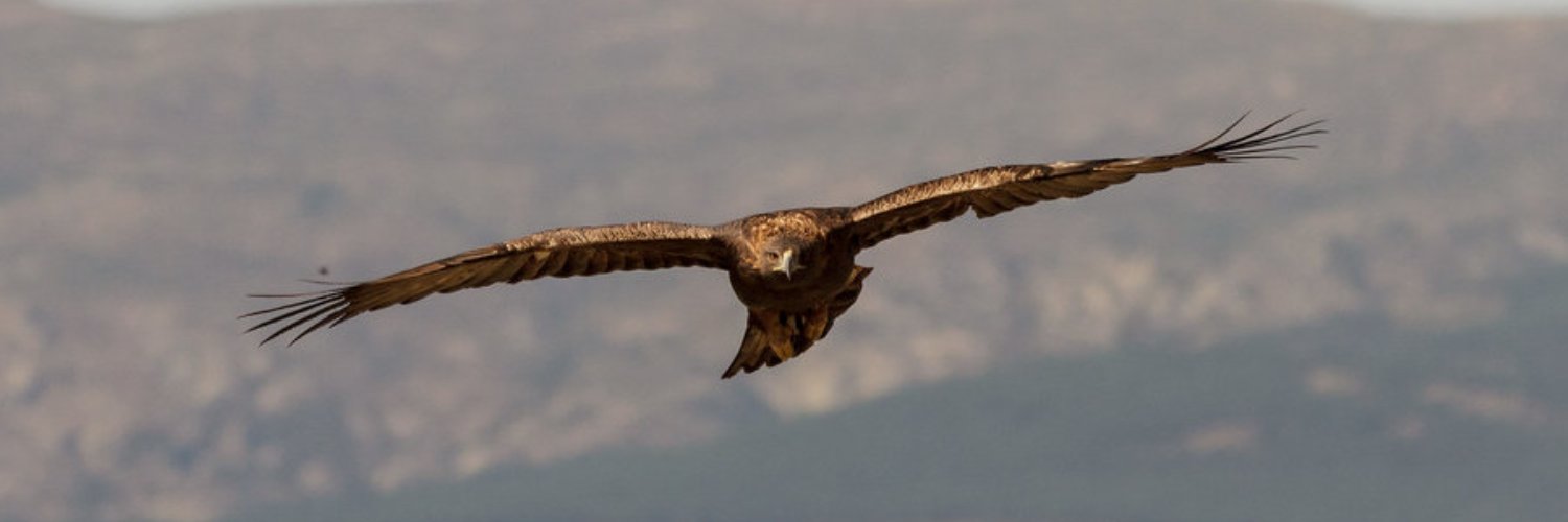 pennadry's profile banner image