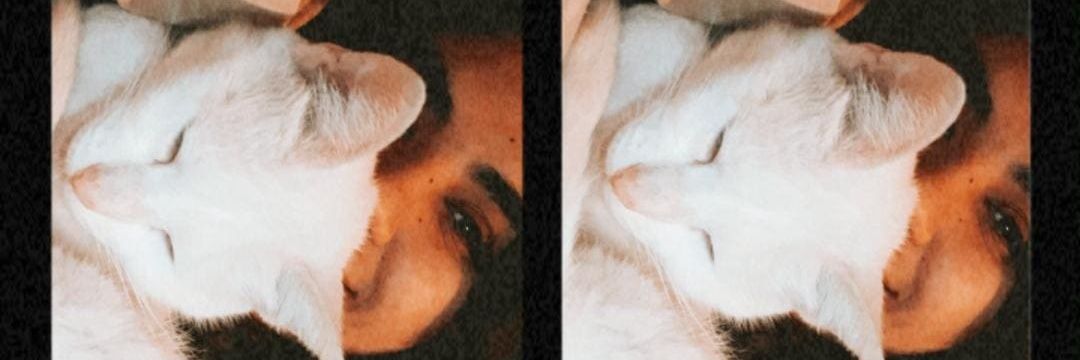 melumarchese19's profile banner image