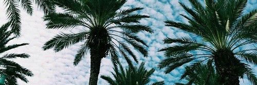 Kinglunchtrae's profile banner image
