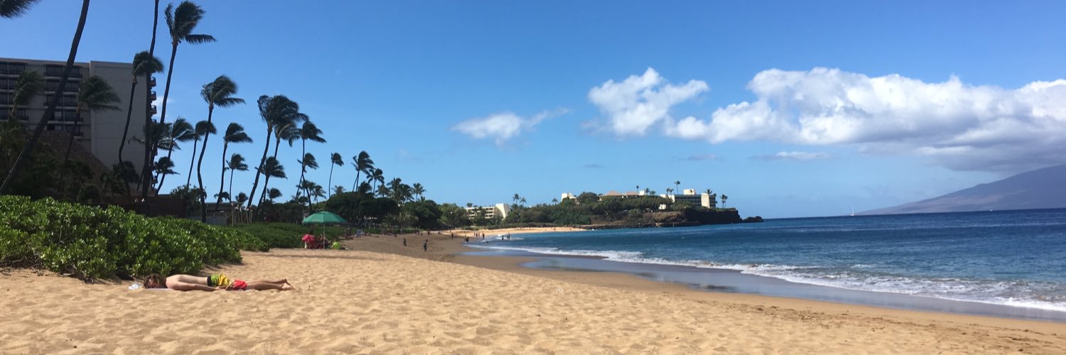 Lorraine Rodvold banner