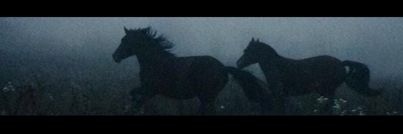 1omerrfaruk's profile banner image