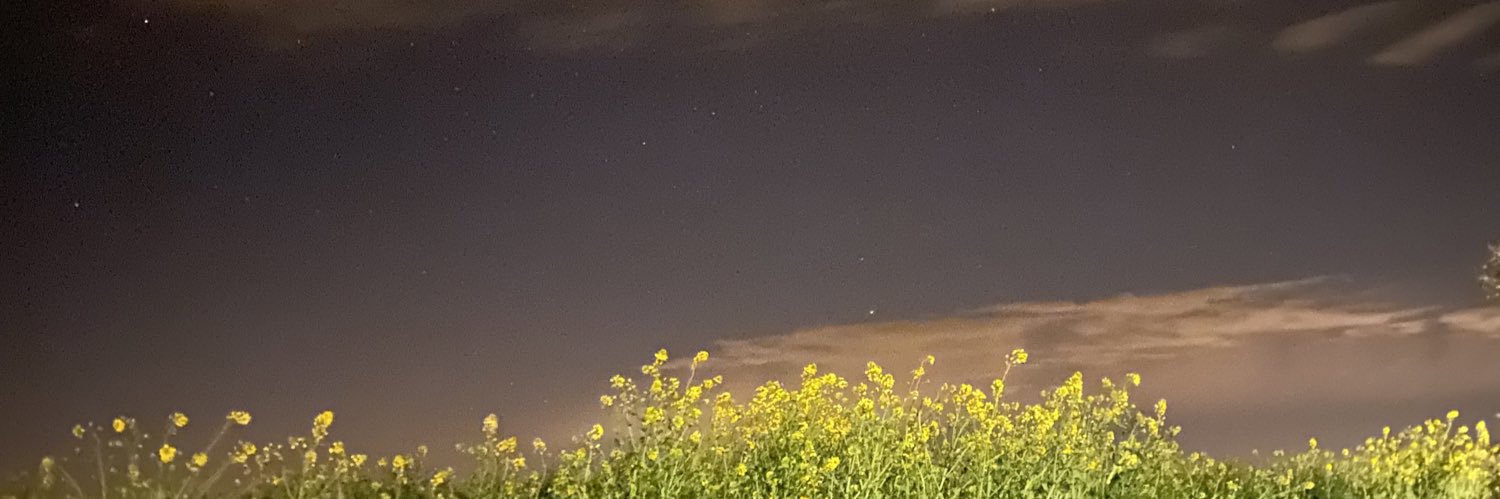 cenuts's profile banner image
