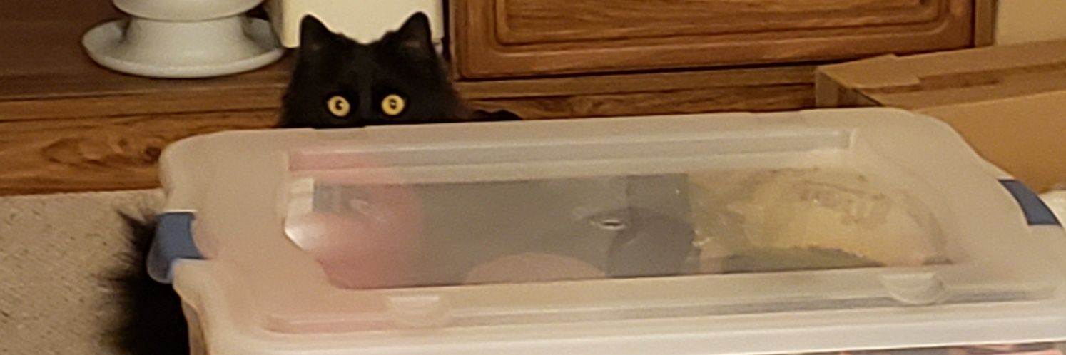 caitlanjohnson8's profile banner image
