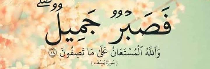sayedkh99223756's profile banner image