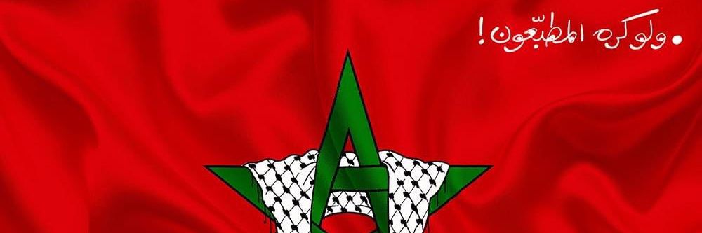 joe🇵🇸🇲🇦 banner