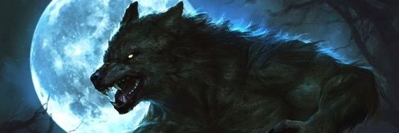 PaladiWolf's profile banner image