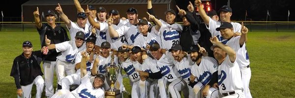 TorontoGators Profile Banner