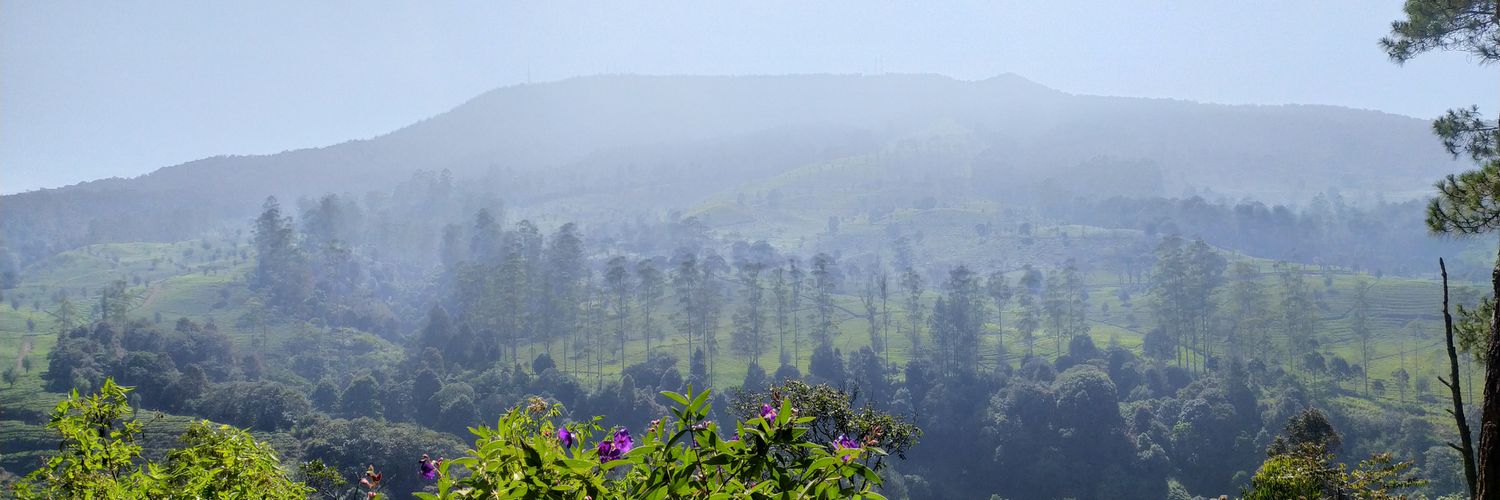 finisa02's profile banner image