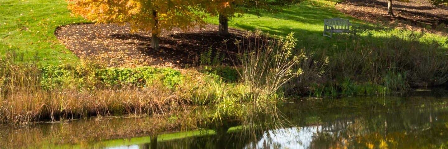 carcel_96's profile banner image