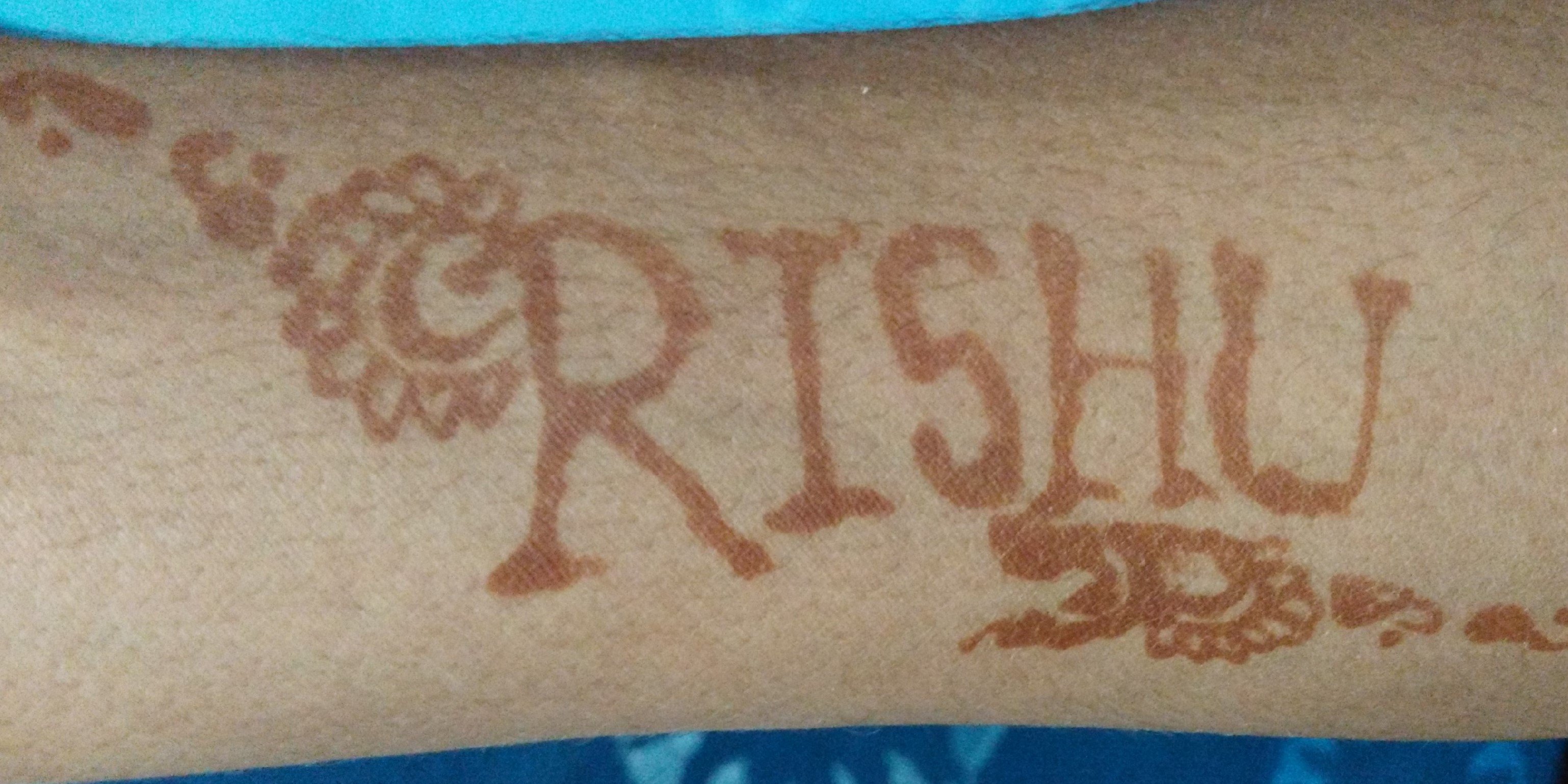 Rishu | 🐬 TermMax banner