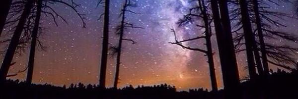 alien_signals Profile Banner