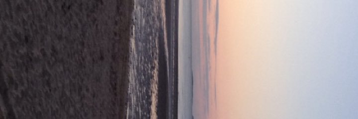 clarabana's profile banner image