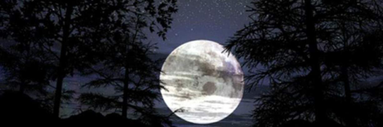 AlinePachi's profile banner image