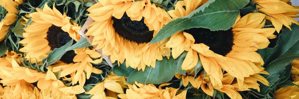 juliaxevelyn's profile banner image