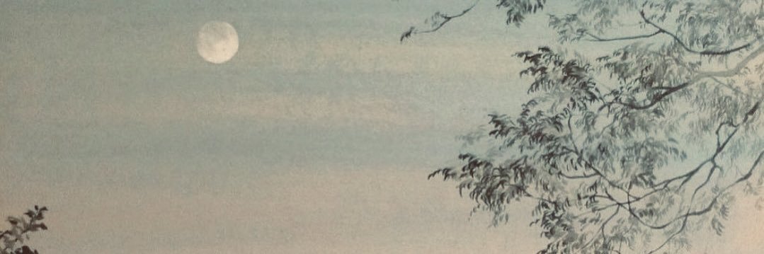 _sadia_m's profile banner image
