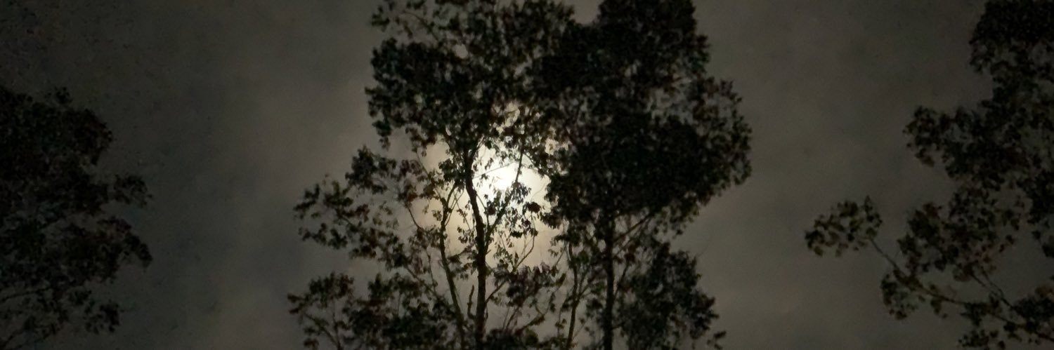 𝐺𝑎𝑙 banner