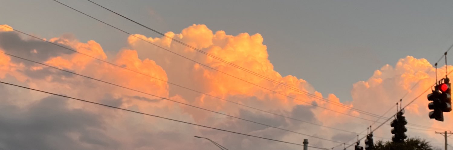 sylv_copeland67's profile banner image