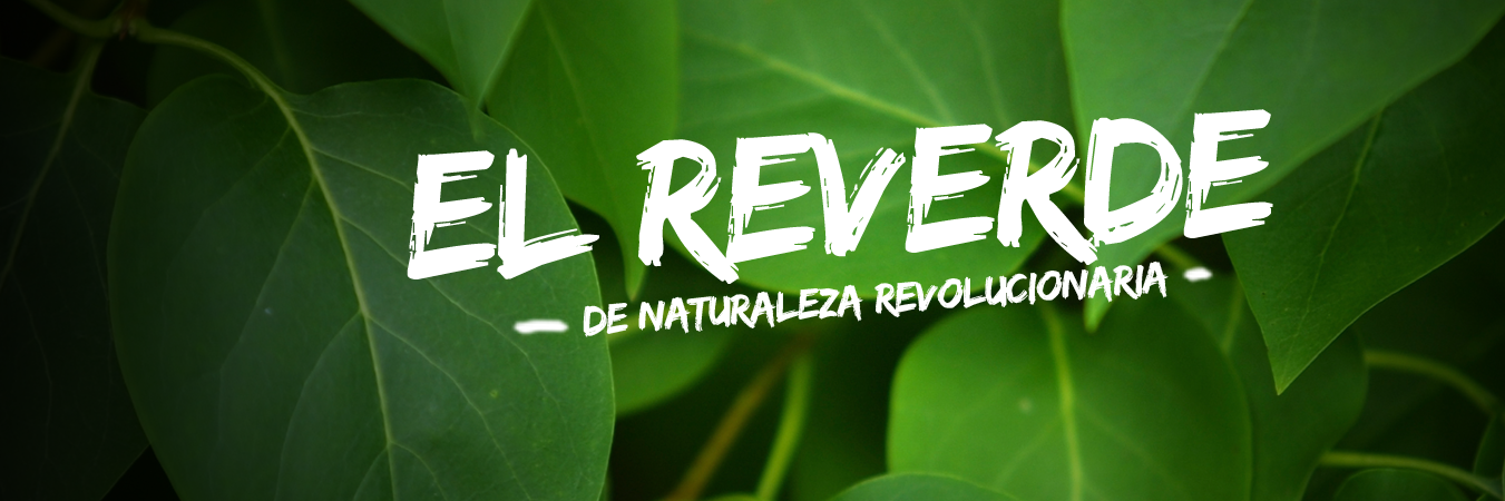 ElReVerde_'s profile banner image