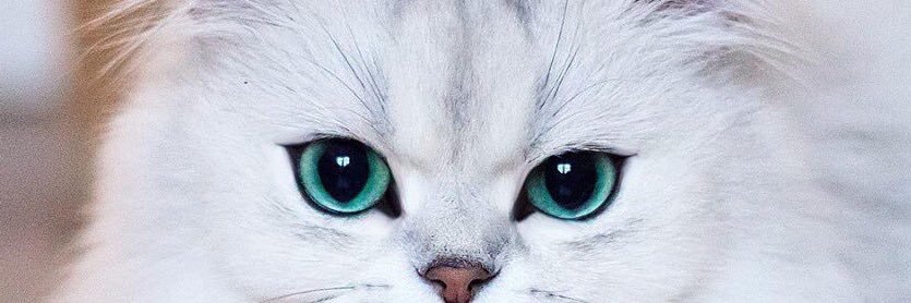 Bigsc97's profile banner image