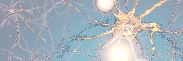 anfarch Profile Banner