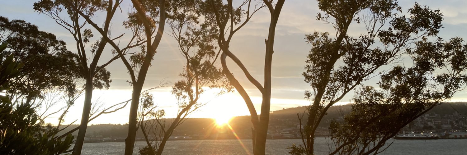 RLStedman's profile banner image