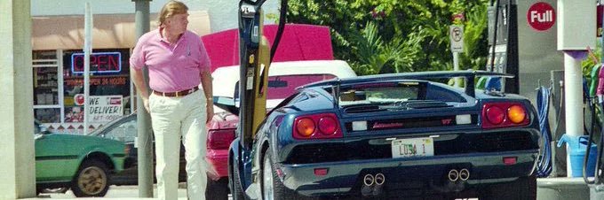 big dumb idiot banner