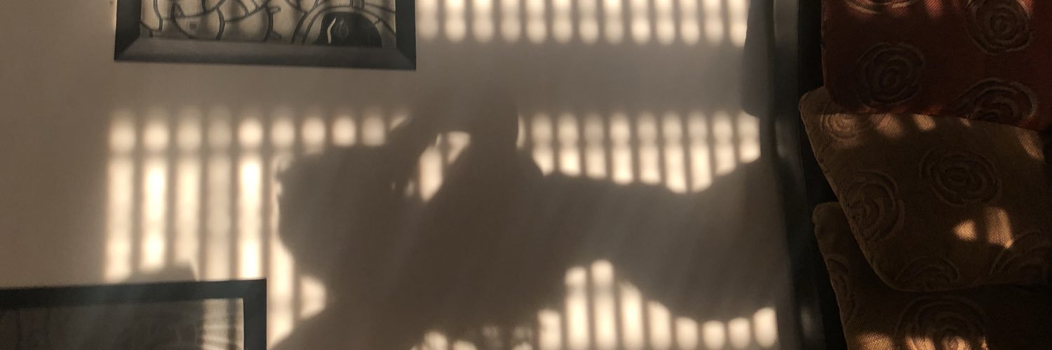 sofía banner