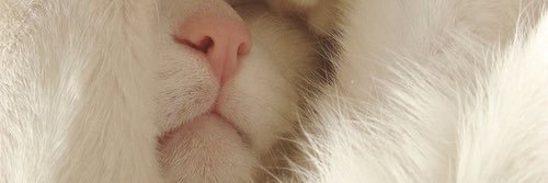 juulianek's profile banner image