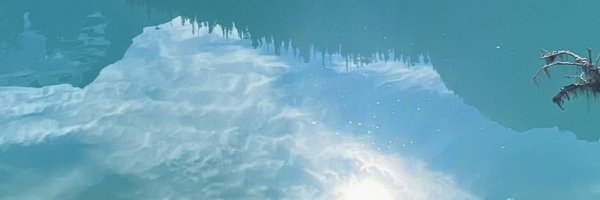 shutollen Profile Banner
