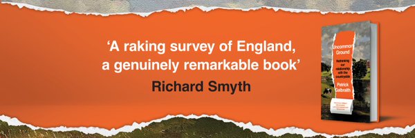 PaddyGalbraith Profile Banner