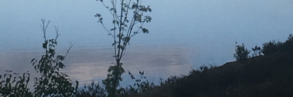 Kristina Stutterheim banner