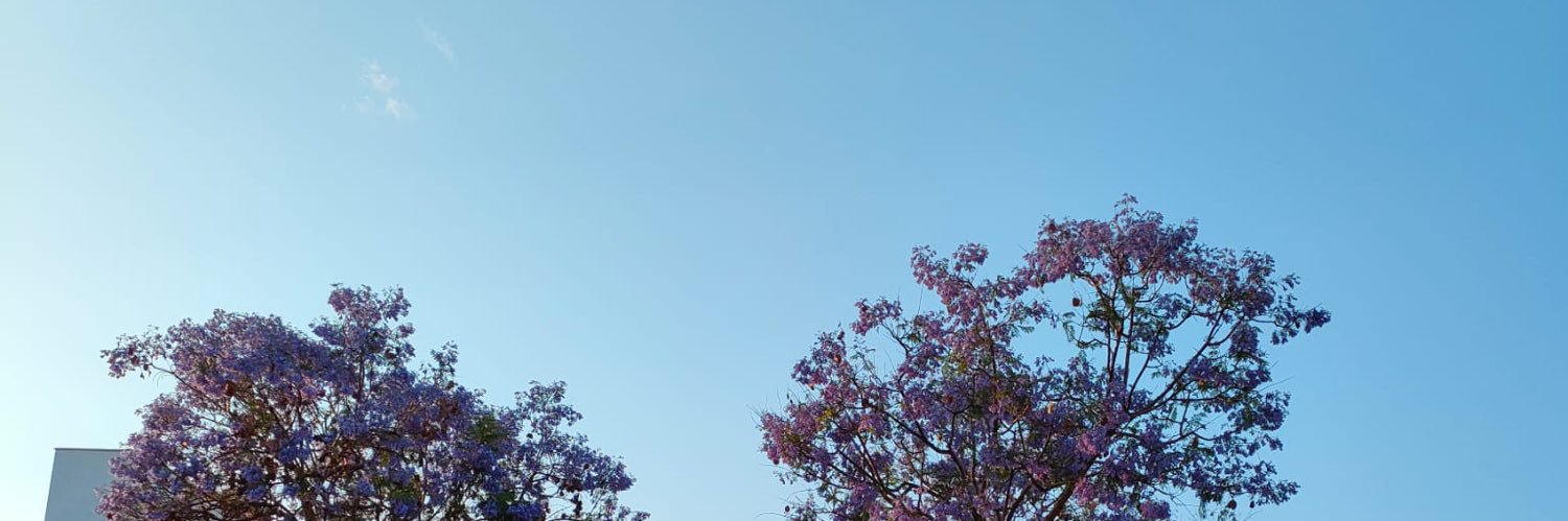 Raquelaria29's profile banner image