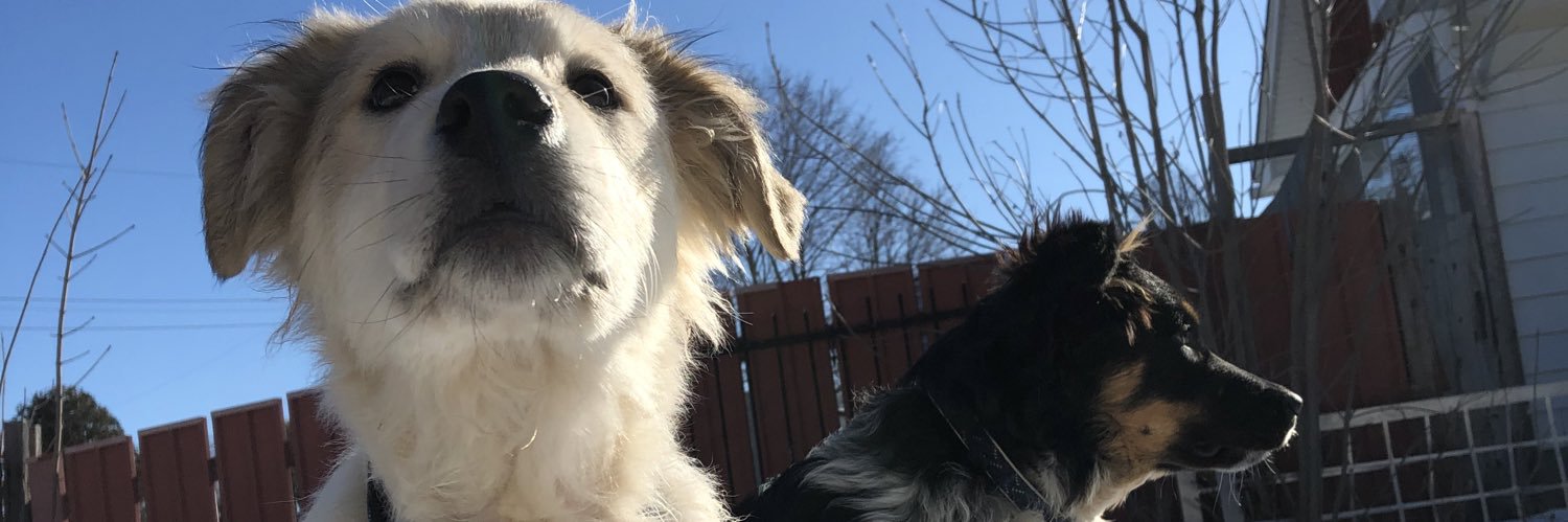 donatorayment's profile banner image