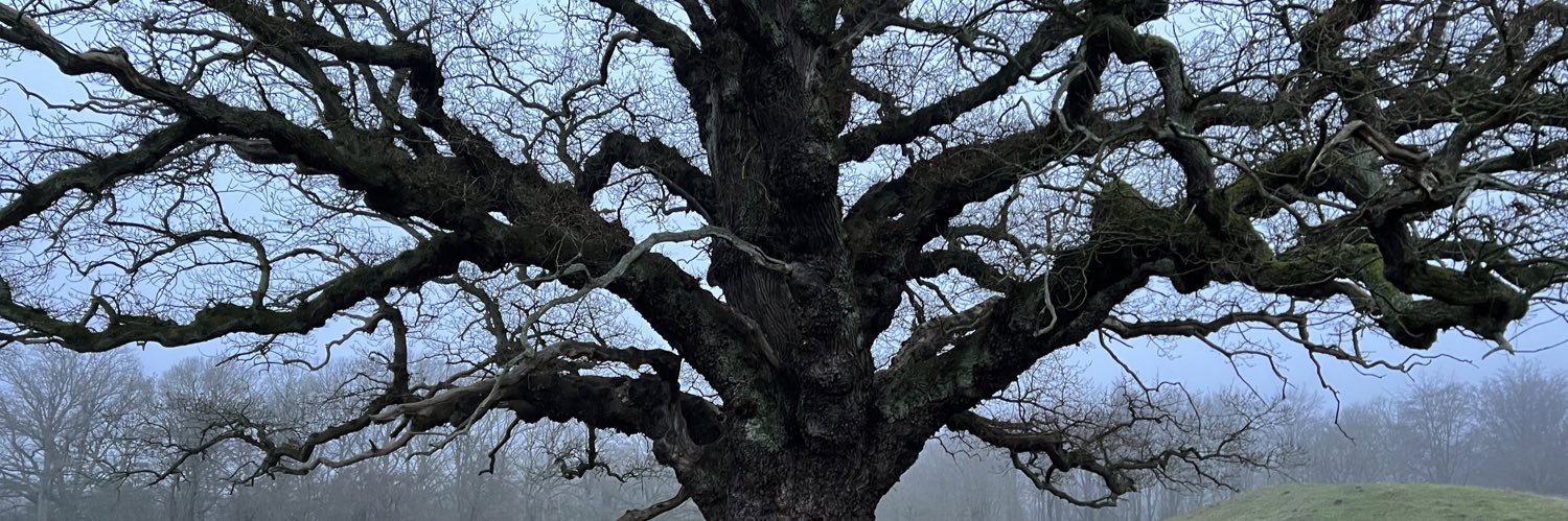 rasbos's profile banner image