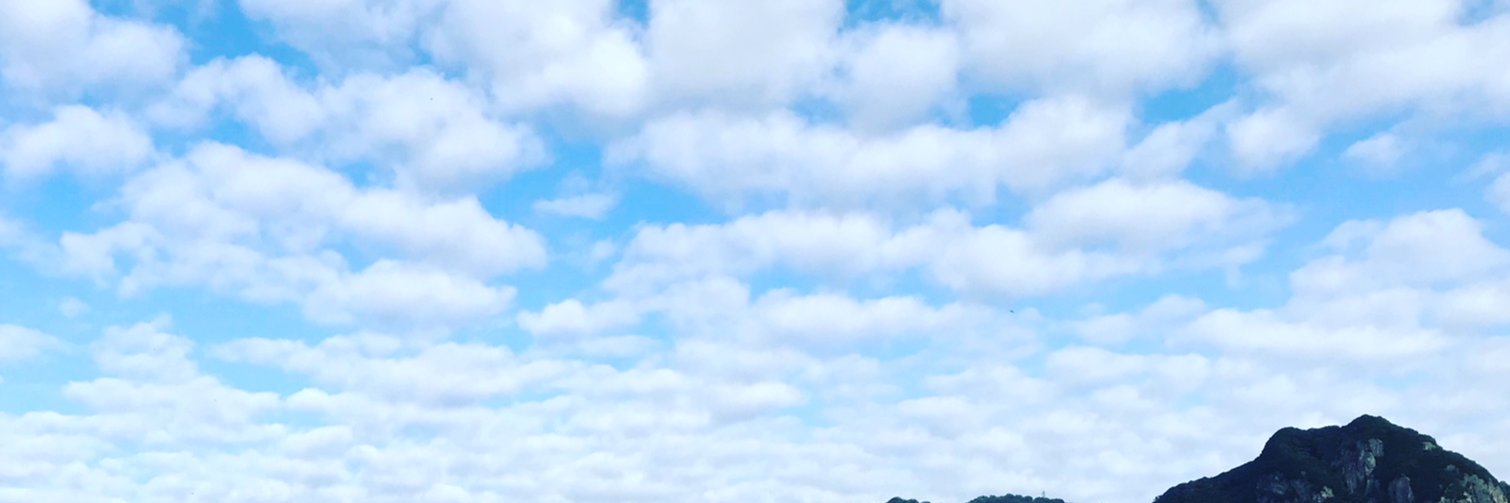 oooooooooose's profile banner image