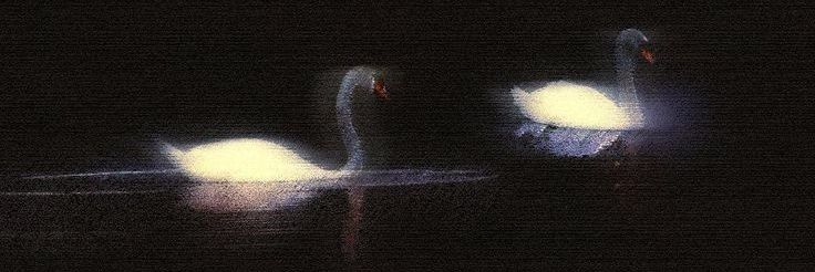 _yourkhaleesi_'s profile banner image