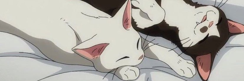 lenaslepsova's profile banner image
