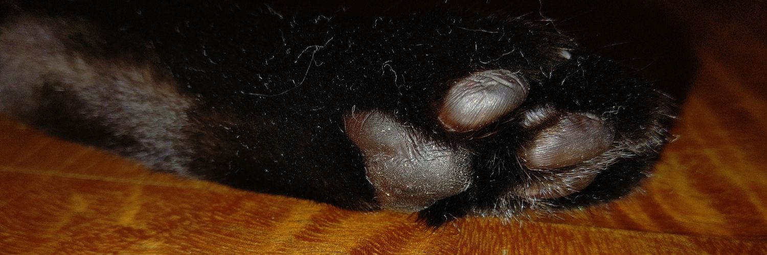 4ReonN3's profile banner image